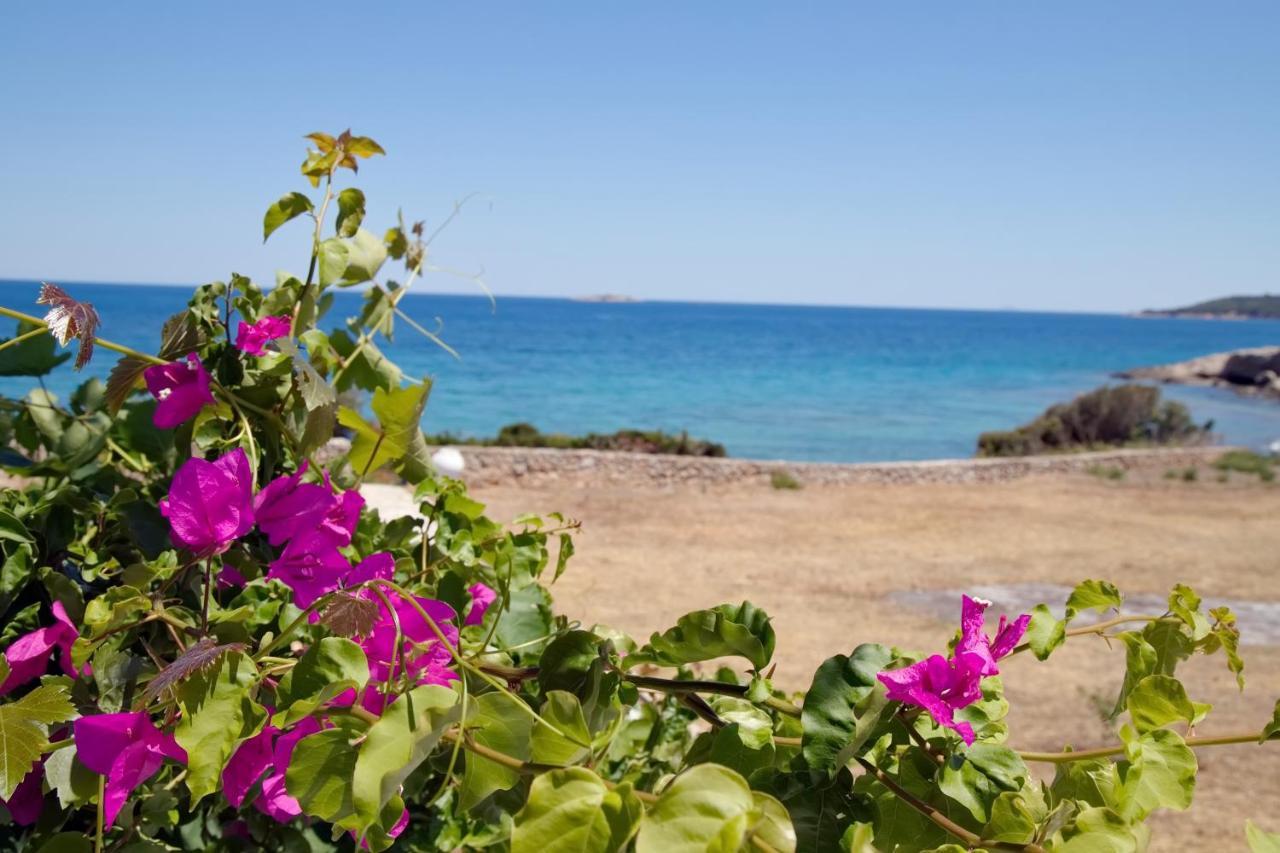 ספצס Aroura Homes 4Br Beachfront Villa מראה חיצוני תמונה