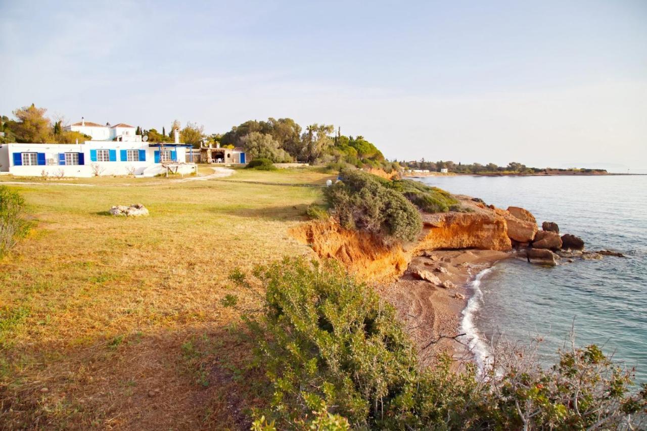 ספצס Aroura Homes 4Br Beachfront Villa מראה חיצוני תמונה