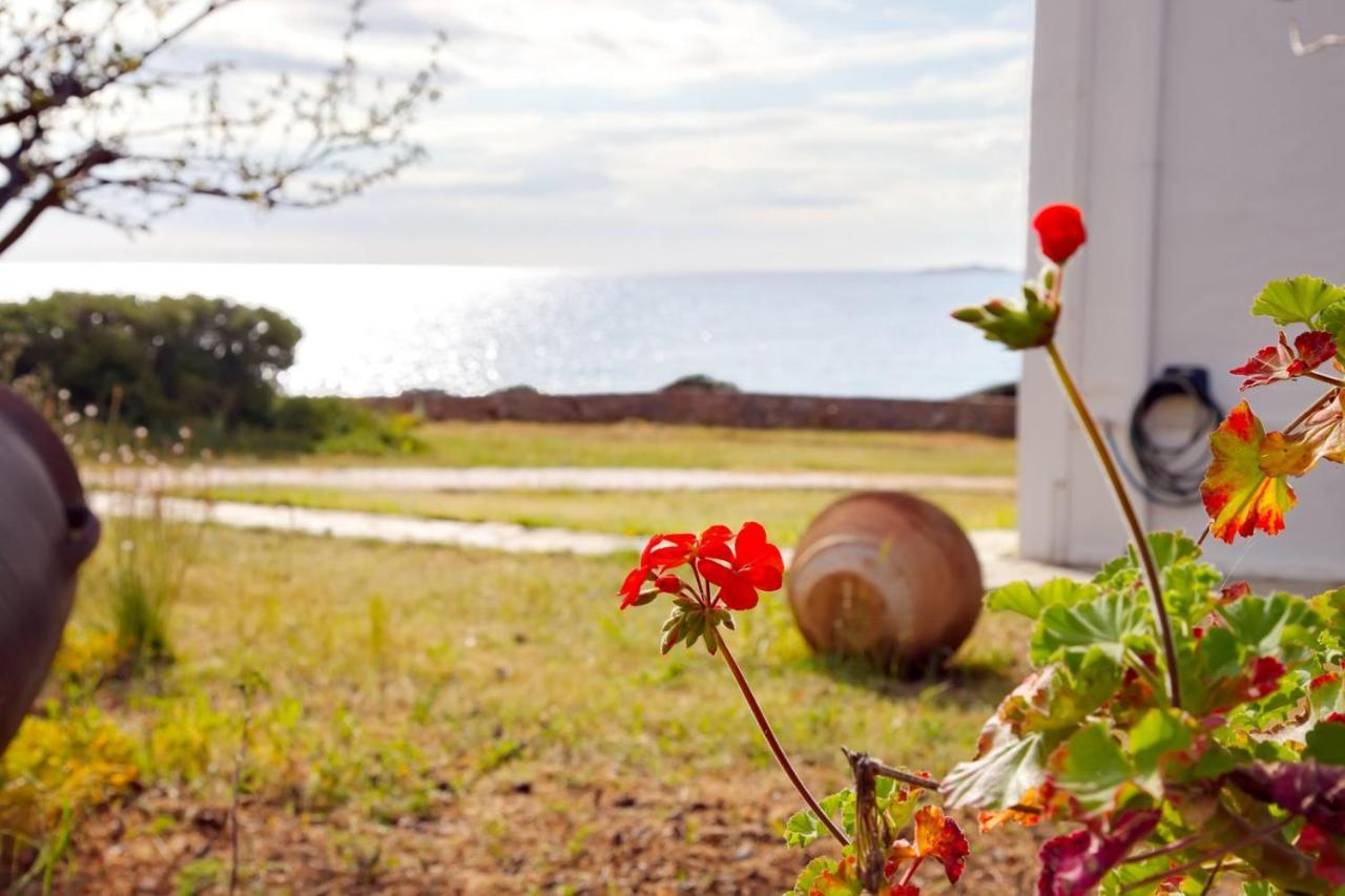 ספצס Aroura Homes 4Br Beachfront Villa מראה חיצוני תמונה